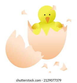 Newborn baby chick in egg shell vector.