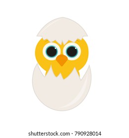 newborn baby chicken cracking an egg shell