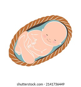 El bebé recién nacido yace en una cuna. Ilustración vectorial dibujada a mano de un bebé de 1 a 6 meses de edad.