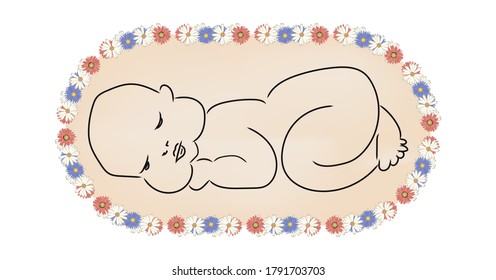 a newborn baby sleeps on its stomach in a flower frame.vector illustration.