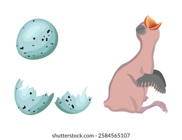 Newborn bird hatching from a turquoise egg with dark spots