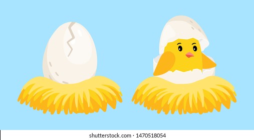 Newborn chick. Cartoon egg and hatched chick with eggshell on head in the nest vector illustration. Eggshell chick in nest, newborn baby bird