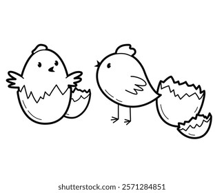 Newborn chickens in the broken eggs shell. Little birds. Outline illustration, isolated on white background	