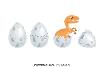 Newborn dinosaur hatched from an egg. Cute funny baby velociraptor isolated on white. Vector flat cartoon illustration.