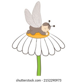 newborn dragonfly baby sleep, vector