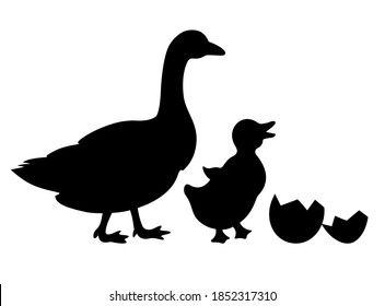 Newborn duckling and duck vector icon isolated on white background
