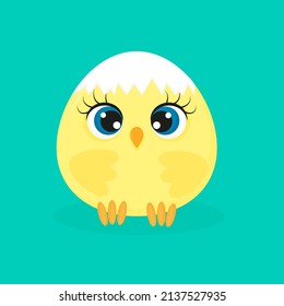 Newborn little cute chick, the appearance of a little chick from an egg, Easter hen flat style, Funny pet vector cartoon, textile print for packaging, interior design, postcard, t-shirt