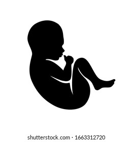 Fetus Images, Stock Photos & Vectors | Shutterstock