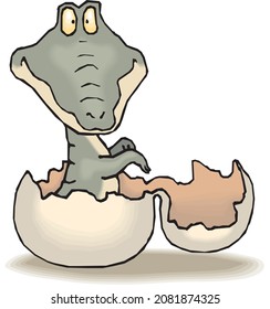 Newborn Tiny Crocodile Vector Image
