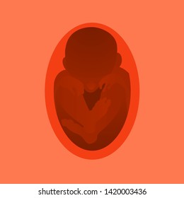 Newborn in the womb.Vector illustration