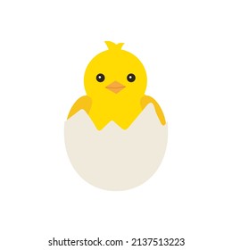 Newborn yellow baby chicken hatched from an egg, for Easter design. Little yellow cartoon chick. Vector illustration isolated on white background