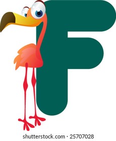 Newest ABC animals:  F is for  Flamingo