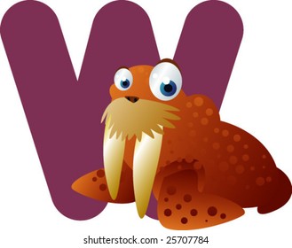 Newest ABC animals:W  is for Walrus