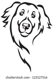 Newfoundland breed dog's head in full face