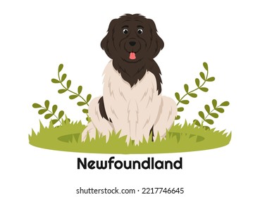 Newfoundland Dog Animals with Black, Brown or Landseer Color in Flat Style Cute Cartoon Template Hand Drawn Illustration