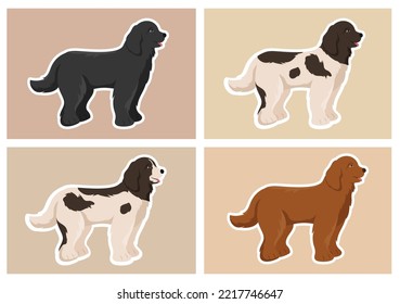 Newfoundland Dog Animals with Black, Brown or Landseer Color in Flat Style Cute Cartoon Template Hand Drawn Illustration