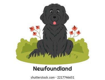 Newfoundland Dog Animals with Black, Brown or Landseer Color in Flat Style Cute Cartoon Template Hand Drawn Illustration