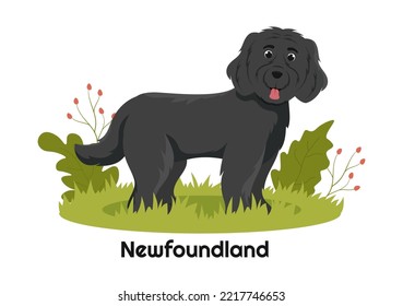 Newfoundland Dog Animals with Black, Brown or Landseer Color in Flat Style Cute Cartoon Template Hand Drawn Illustration