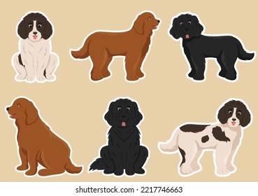 Newfoundland Dog Animals with Black, Brown or Landseer Color in Flat Style Cute Cartoon Template Hand Drawn Illustration