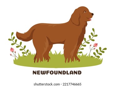 Newfoundland Dog Animals with Black, Brown or Landseer Color in Flat Style Cute Cartoon Template Hand Drawn Illustration