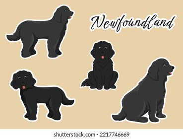 Neufundland-Hundetiere mit schwarzer, brauner oder Landseerfarbe in flachen Farbtönen, handgezeichnet Illustration