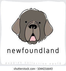 Newfoundland : Dog Breed Collection : Vector Illustration