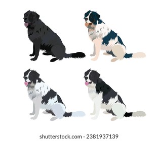 Newfoundland dog drawing. Cute dog characters in a sitting pose, designs for prints adorable and cute cartoon vector sets, in different poses. All popular colors. Stickers collection, black and white.