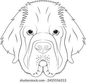 Newfoundland dog easy coloring cartoon vector illustration. Isolated on white background