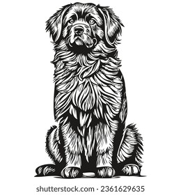 Newfoundland dog hand drawn logo drawing black and white line art pets illustration realistic breed pet