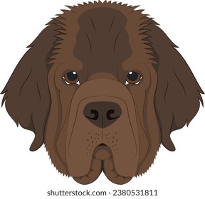 Perro de Terranova aislado en ilustración vectorial de fondo blanco