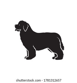 Newfoundland Dog - Isolated Vector Illustration