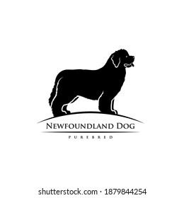 Newfoundland dog - isolated vector illustration