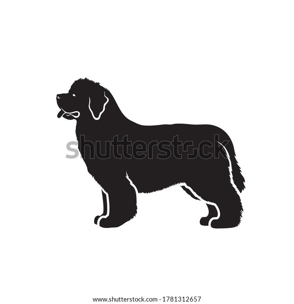 Newfoundland Dog Isolated Vector Illustration Stock Vector (Royalty ...