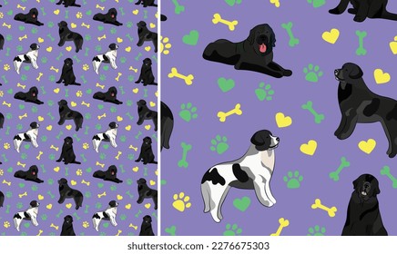 Newfoundland dogs on a playful violet background with bones, hearts, paws. Funky, colorful vibe, vibrant palette. Simple, clean, modern texture. Summer seamless pattern with dogs. Birthday present.