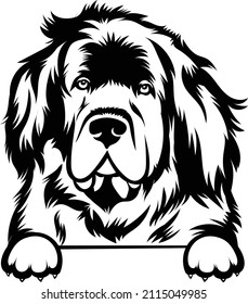 Newfoundland Peeking Dog Vector Image Newfoundland Dog And Paws Cricut Silhouette Newfoundland EPS