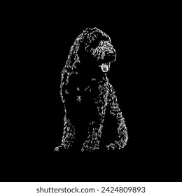 newfypoo hand drawing vector isolated on black background.
