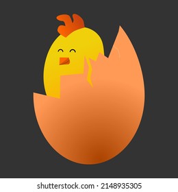 newly hatched chicken. chicken in egg