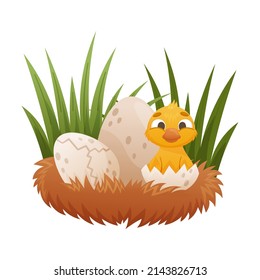 Newly hatched gosling in egg cartoon vector illustration