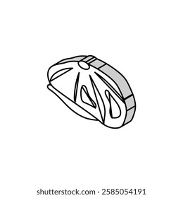 newsboy hat cap isometric icon vector. newsboy hat cap sign. isolated symbol illustration