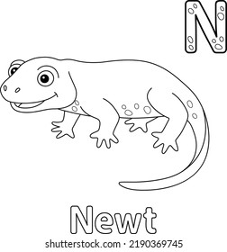 Newt Alphabet ABC Coloring Page N