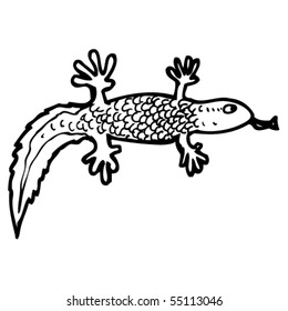 newt cartoon
