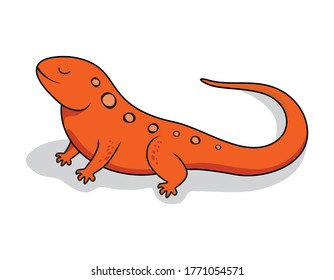 Newt Cartoon Salamander Animals Illustration