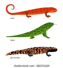 Newt, Lizard, Gila monster