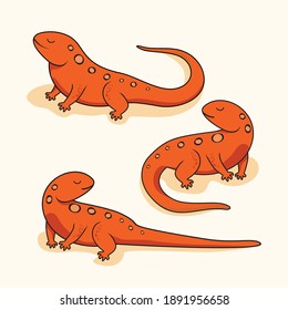 Newt Salamander Cartoon Amphibien Reptilien Illustrationen Set Kollektionen