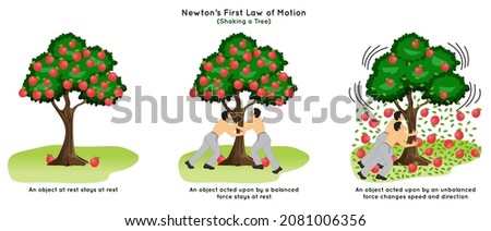 Newton First Law of Motion Infographic Diagram example shaking apple tree at rest and external force act on it balanced and unbalanced leaves apples fall down physics science education poster vector