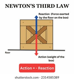 newton's first law scientific physics graphical illustration law of motion action and reaction of box on table  infographic diagram with example physical science education newtons law newton scientist