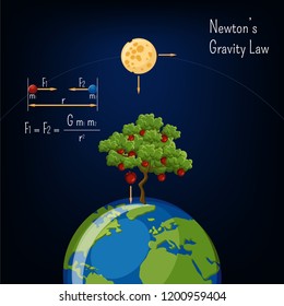 Newton's Gravity low infographic with Earth globe, moon, apple tree and basic diagram. Physics, science for kids. Cartoon style vector illustration.