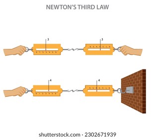 Newton's third law states that for every action, there is an equal and opposite reaction. In a spring weight machine, the spring exerts a force equal and opposite to the weight placed on it.