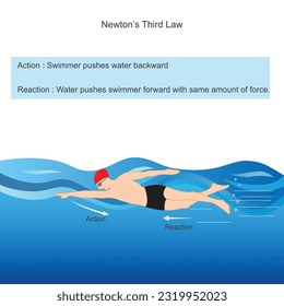 Newtons third law. swimmer pushes water backward with force and in return water pushes swimmer forward with same amount of force. Physics illustration.