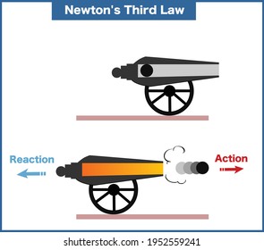 Newton's Third Law vector illustration